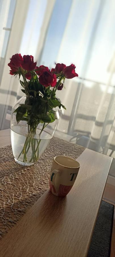 Nova Apartment Sanoki járás Kültér fotó
