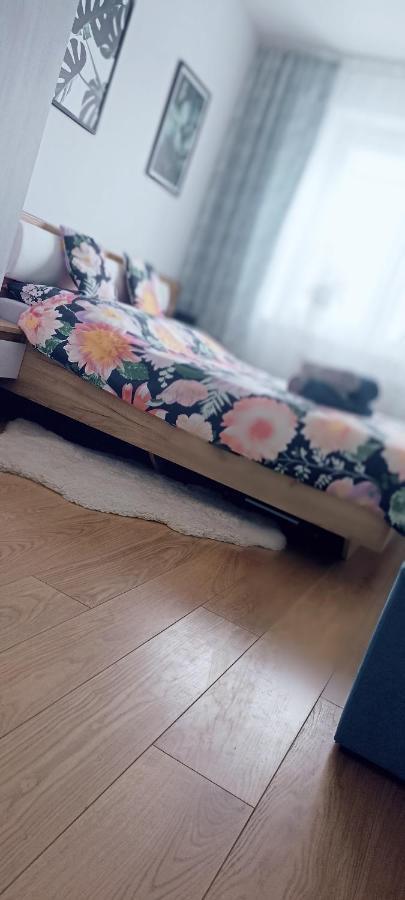 Nova Apartment Sanoki járás Kültér fotó
